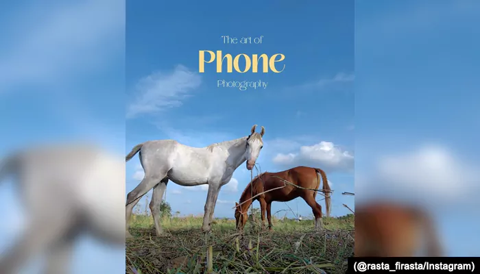 No DSLR, No Problem: World Photography Day Hacks for Your Budget Camera Phone